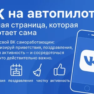 VK на автопилоте